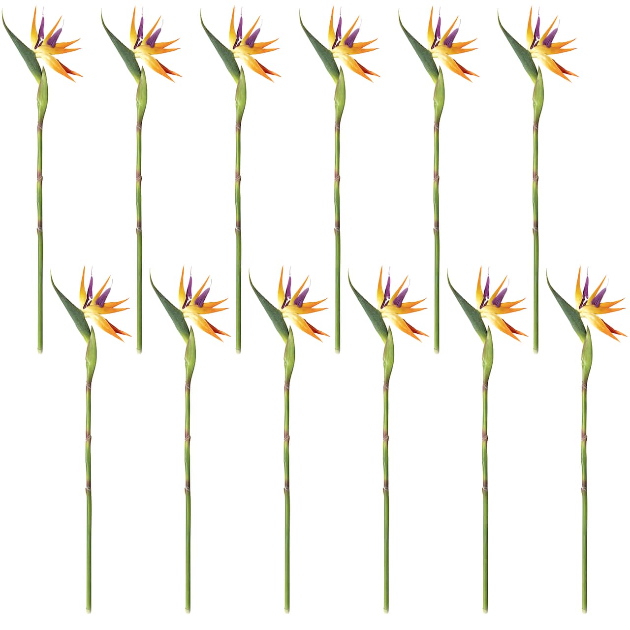 12 Pack: Yellow Bird of Paradise Stem by Ashland®